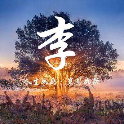 第26届上海国际电影节展映影片一览表(更新中）
